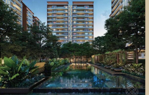 WhatsApp Image 2025 12 12 at 13.14.12