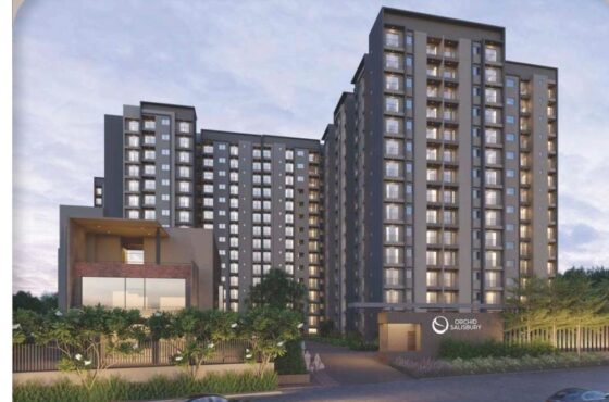 Orchids Salisbury- Goyal & co.