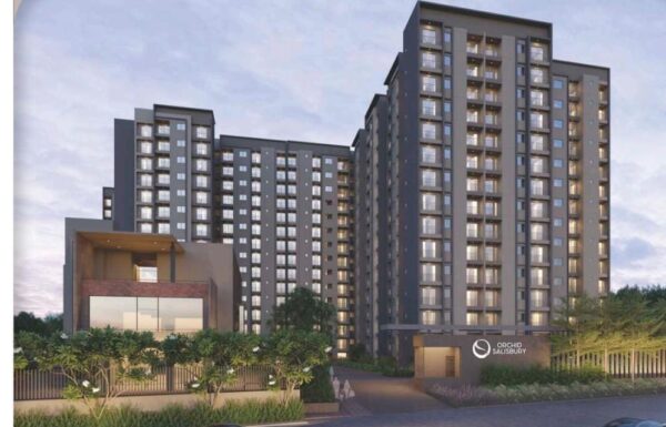 WhatsApp Image 2025 12 12 at 16.59.27