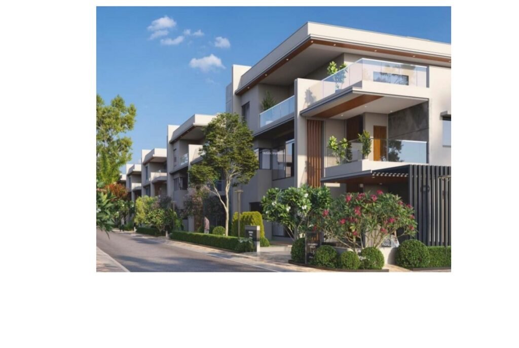 vaishnoi 4